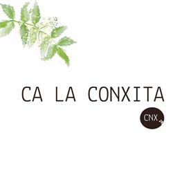 Ca la Conxita, Les Escaules