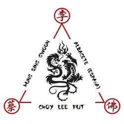 Choy Lee Fut Albacete