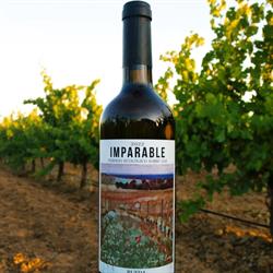 Imparable Vinos y Viñedos, Pozáldez