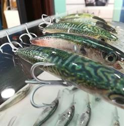 King's Lures Guadiana Cebo Vivo, Ayamonte