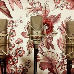 Elarbolestudio, Alaquàs