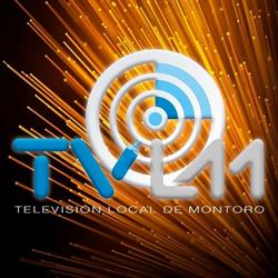 Televisión Local Montoro