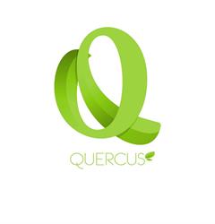Quercus Extrem, Calamonte