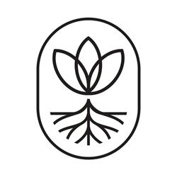 Yoga Terrassa