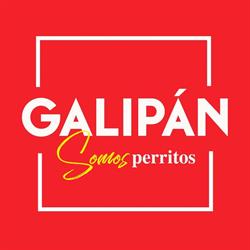Galipán Montera, Madrid