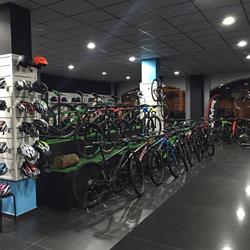 Im Bikes, Baza