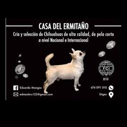 Criadero Casa del Ermitaño, Adiestramiento & Psicología Canina, Garraf