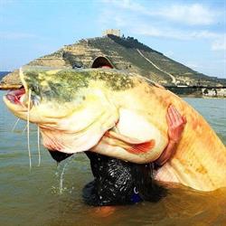 EBRO FISHING MEQUINENZA 1990 S.L., Mequinenza