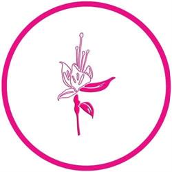 Florestibles, Carcaixent