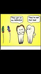 Orba Dental