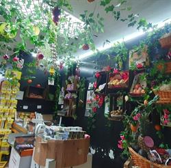 Vidafruit, Madrid