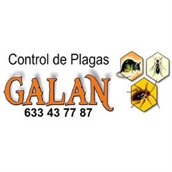 Control De Plagas Galan, Elche