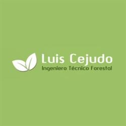 Gabinete Técnico de Ingeniería Luis Cejudo, Valverde del Camino