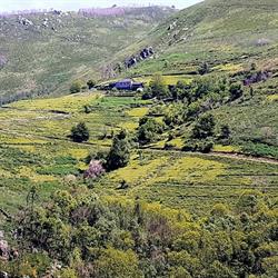 Escanlar Albergue, Lugo
