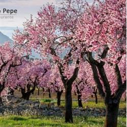 Rincon De Pepe, Benimantell