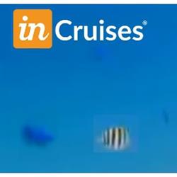 Cruceros Incruises Arelis, Güímar