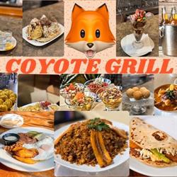 Coyote Grill, Terrassa