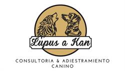 Adiestramiento canino Lupus a Kan, Cocentaina