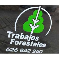 Trabajos Forestales Fernando, Logroño