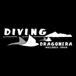 Diving Dragonera, Port d'Andratx