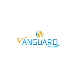 Vanguard Bazar, Colmenar Viejo