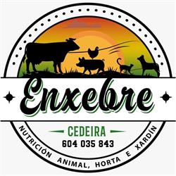 Enxebre Cedeira