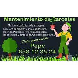 Mantenimiento de Parcelas Pepillo Chato, Villamartín