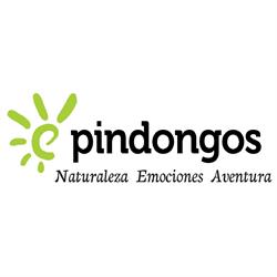 Pindongos, Villanueva del Trabuco