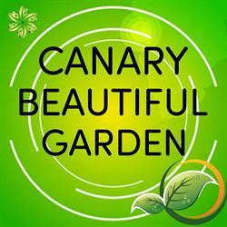 Canary Beautiful Garden, Realejo Alto