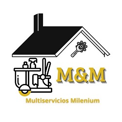 Multiservicios Milenium, Barcelona