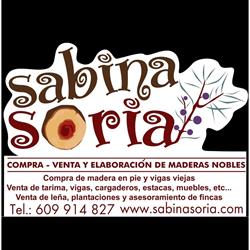 Sabina Y Maderas De Soria S.L., Muriel Viejo