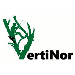 Vertinor, Villanueva de Mena