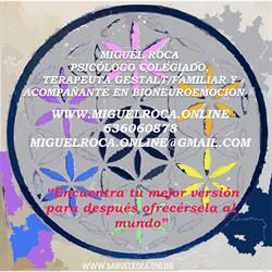 Miguel Roca Psicólogo on line ,Terapeuta Gestalt-Terapeuta Familiar on line.Hipnosis Dejar Fumar, Las Palmas de Gran Canaria