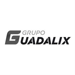 Autologística Guadalix, Algete