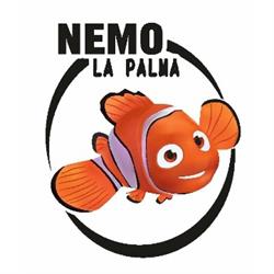 Nemo La Palma, Tazacorte