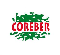 Coreber- Pazos, Ponteceso