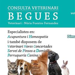 Veterinari Begues