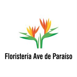 Floristería Ave de Paraíso, Los Baldíos