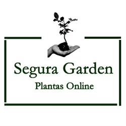 Segura Garden, Villacarrillo