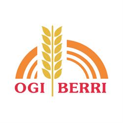 Ogiberri, San Esteban