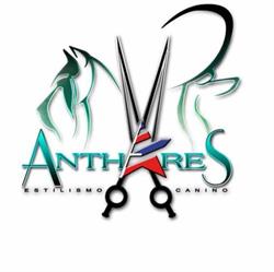 Peluqueria Canina y Spa Anthares, Móstoles