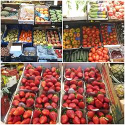 Fruteria Sara, Logroño