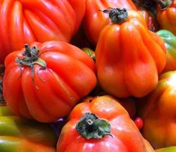 Fruites I Verdures DIEGO, Sabadell