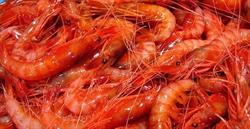 La Cova Del Peix, Peralada