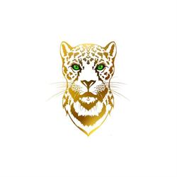 Maison Jaguar. Mexican Cuisine., Madrid