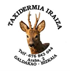 Taxidermia Iraiza, Galdakao