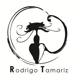 Rodrigo Tamariz Music & Mapping, Villanueva de Duero