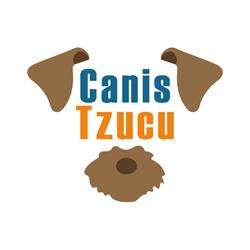 Canis Tzucu, Pinto