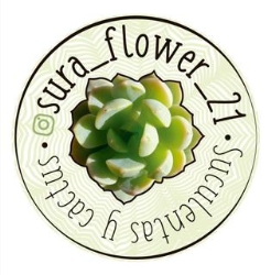 SURA FLOWERS, 21, Las Ventas de Retamosa