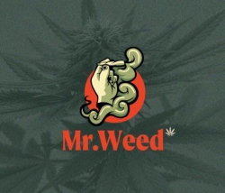 Mr. Weed CBD Madrid